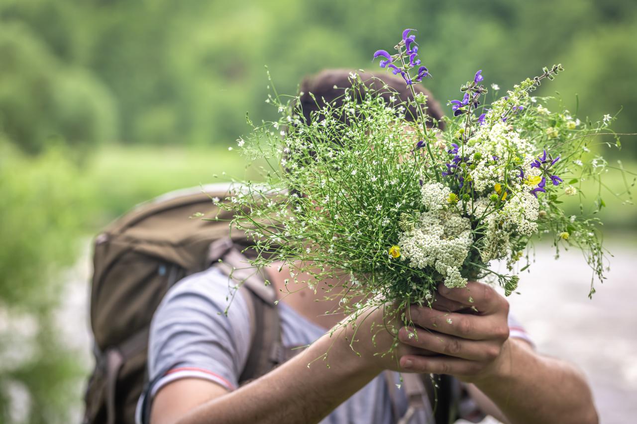 Wildkräuterwandern