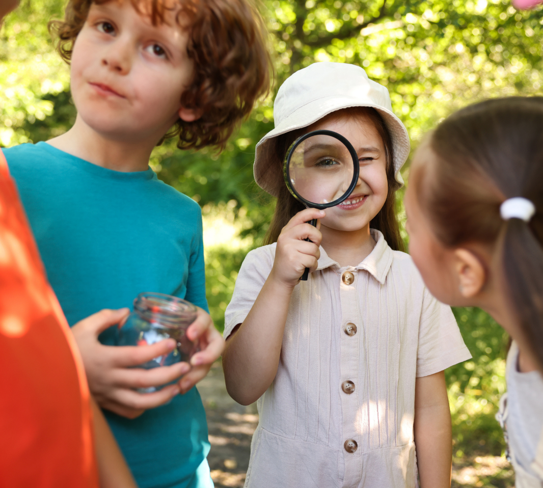 Kleine Samen - große Träume
