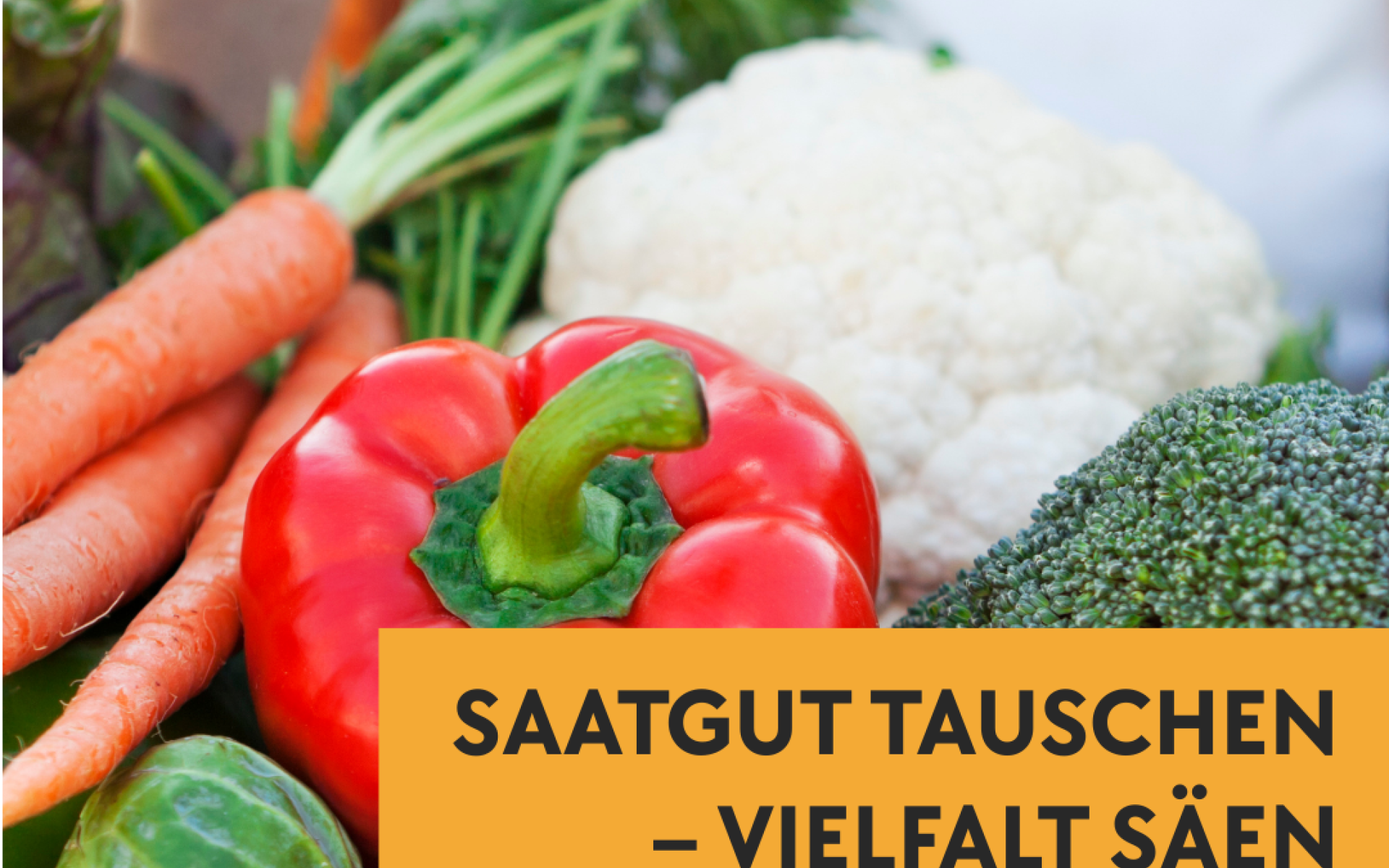 Die Saatgutbibliothek Hitzendorf 