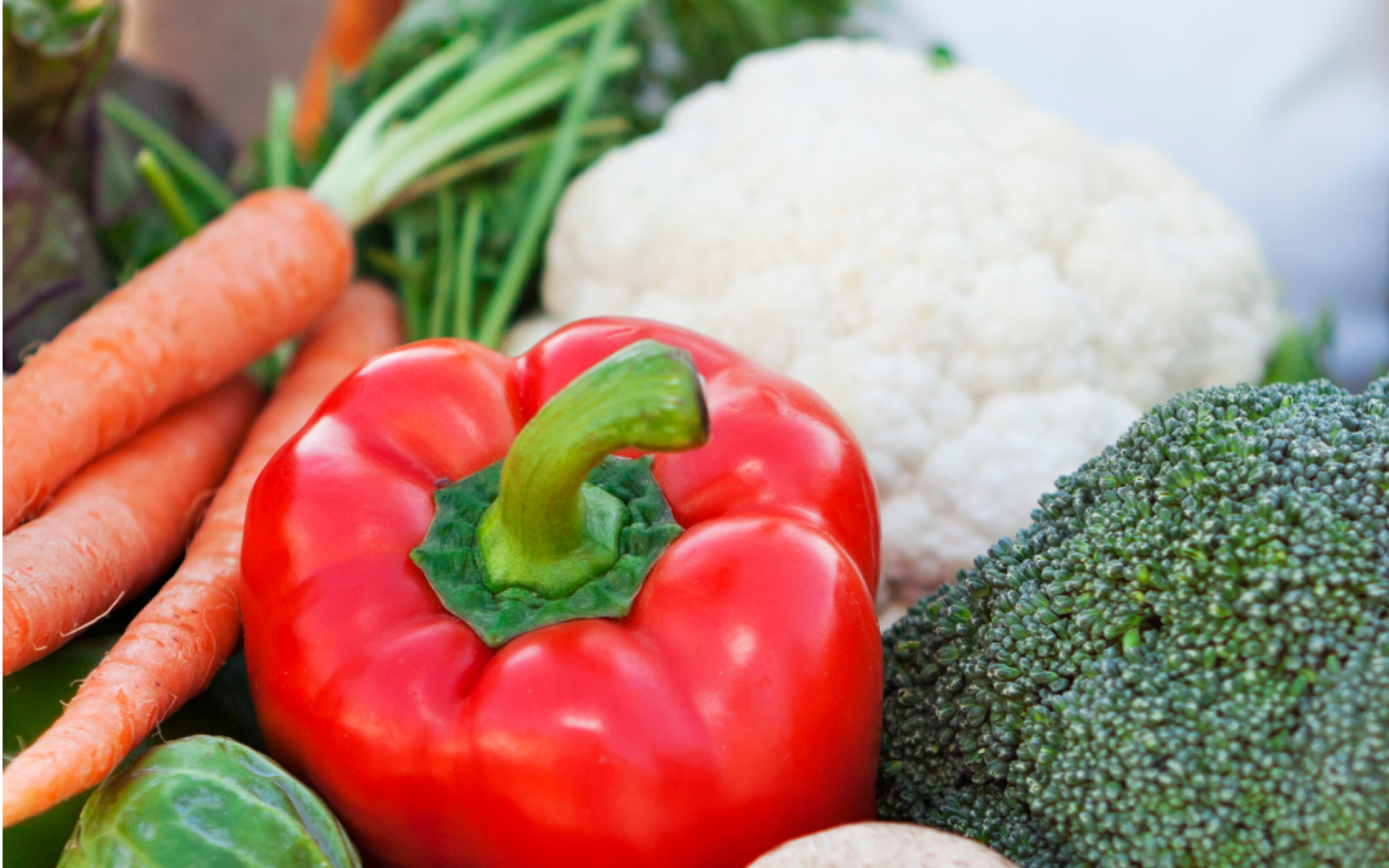 Saatgut Bibliothek Hitzendorf 